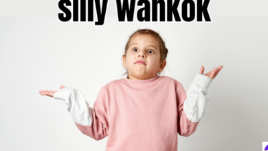 silly wankok