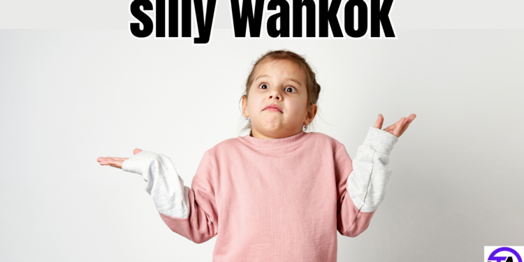 silly wankok