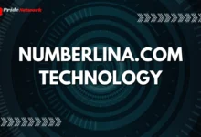 Numberlina.com Technology